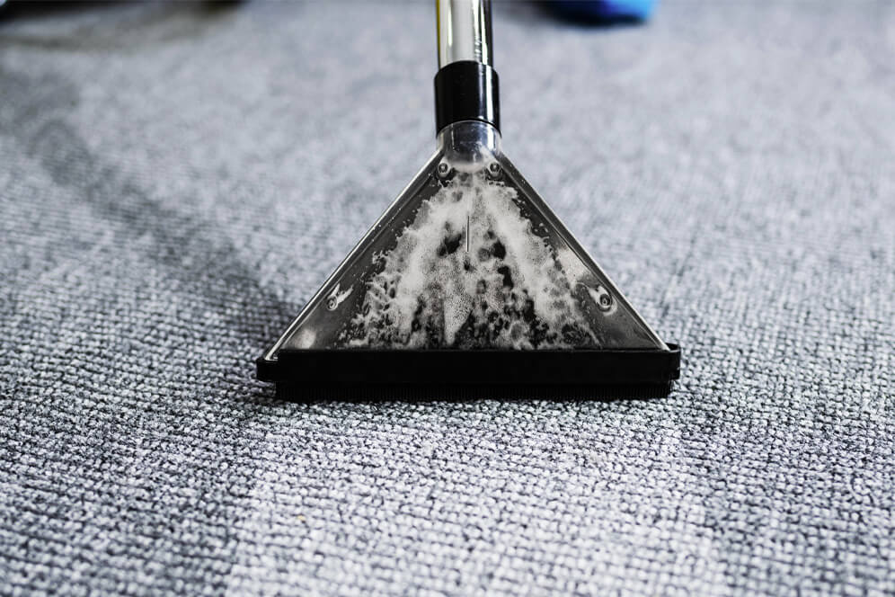 Professional Carpet Cleaning